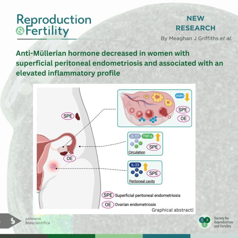 Could the Most Common Form of Endometriosis Be Affecting Ovarian Reserve Through Inflammation? – Reproduction and Fertility