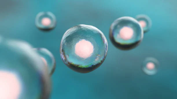 Esraa Atef: Is 24 Hours Too Late to Rescue Unfertilized Oocytes?