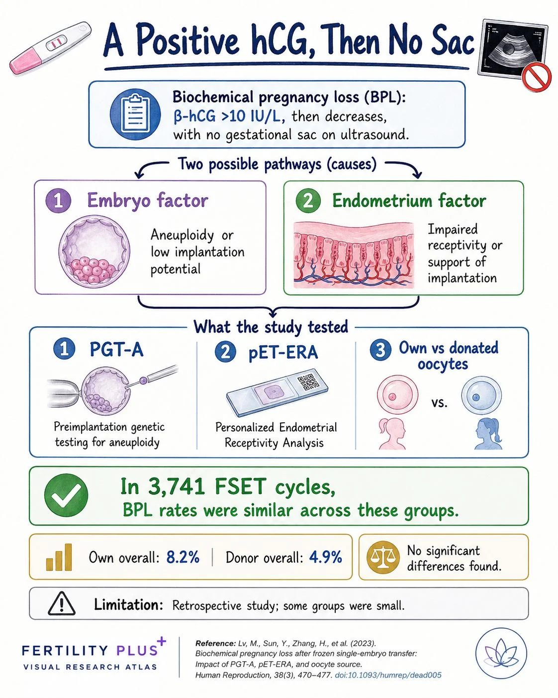 Fertility Plus