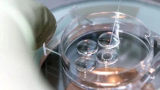 Erwin Loh: Most IVF Add-On Treatments Are Not Backed by Reliable Evidence
