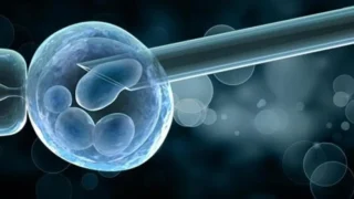 Farah Hamdine: Exploring the Role of PGT in Modern Reproductive Medicine