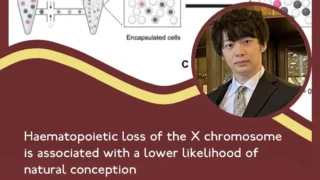 Hematopoietic X Chromosome Loss May Offer New Insight Into Ovarian Reserve - RBMO