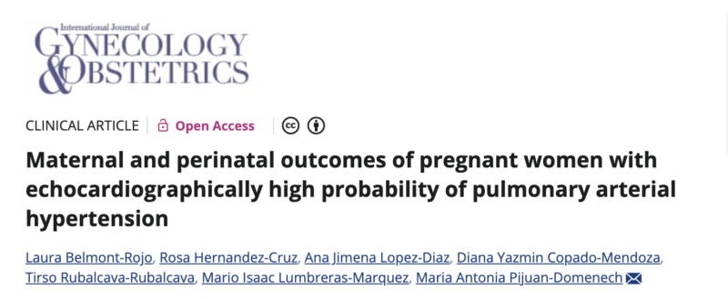 Mario Lumbreras Marquez: Maternal and Perinatal Outcomes in Pregnancy with High PAH Risk