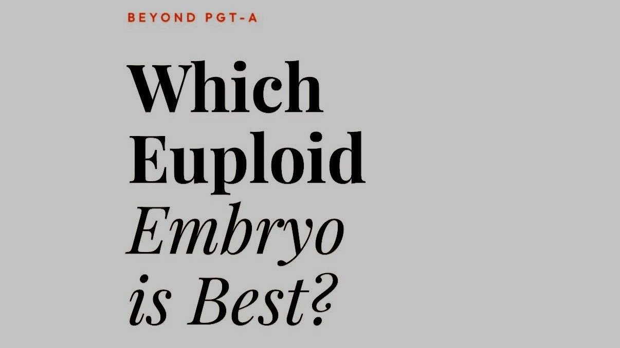 Vipin Chandra: Which Euploid Embryo Has the Best Probability of Resulting in a Healthy Live Birth?