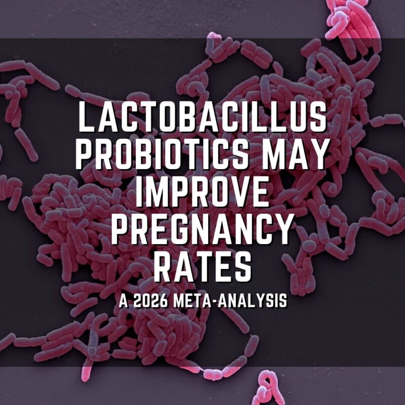Sean Lauber: Can Probiotics Increase Your Chances of Pregnancy During IVF?