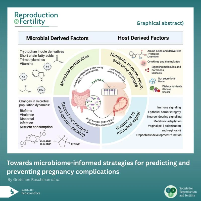 Could the Microbiome Help Improve Our Ability to Predict Pregnancy Complications – Reproduction and Fertility