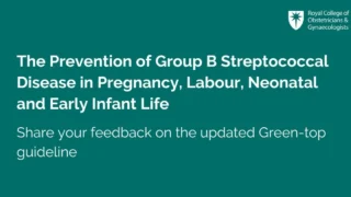 The Prevention of Group B Streptococcal Disease in Perinatal Period - RCOG