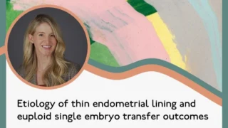 Etiology of Thin Endometrial Lining and Euploid Single Embryo Transfer Outcomes - RBMO