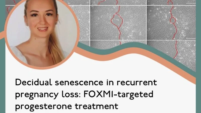 Progestin Analogues Effectively Restore FOXM1 Expression but Leave Key Gaps – RBMO