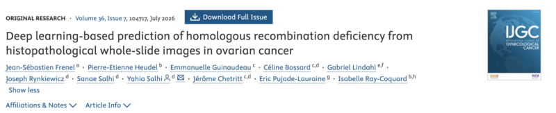 Deep Learning-Based Prediction of HRD From Histopathological Whole-Slide Images in Ovarian Cancer – IJGC