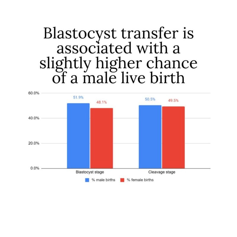 Sean Lauber: Does Transferring a Cleavage or Blastocyst Stage Embryo Affect the Chance of Having a Boy?