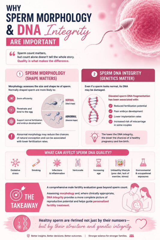 Sameeksha K Ghat: Why Are Sperm Morphology and DNA Integrity Important?
