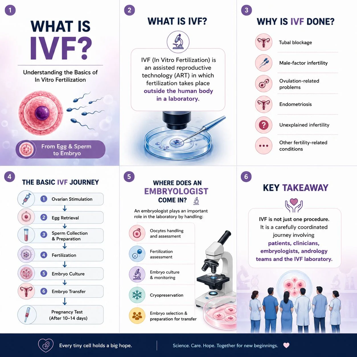 Manisha Kumari: What is IVF? Understanding the Basics
