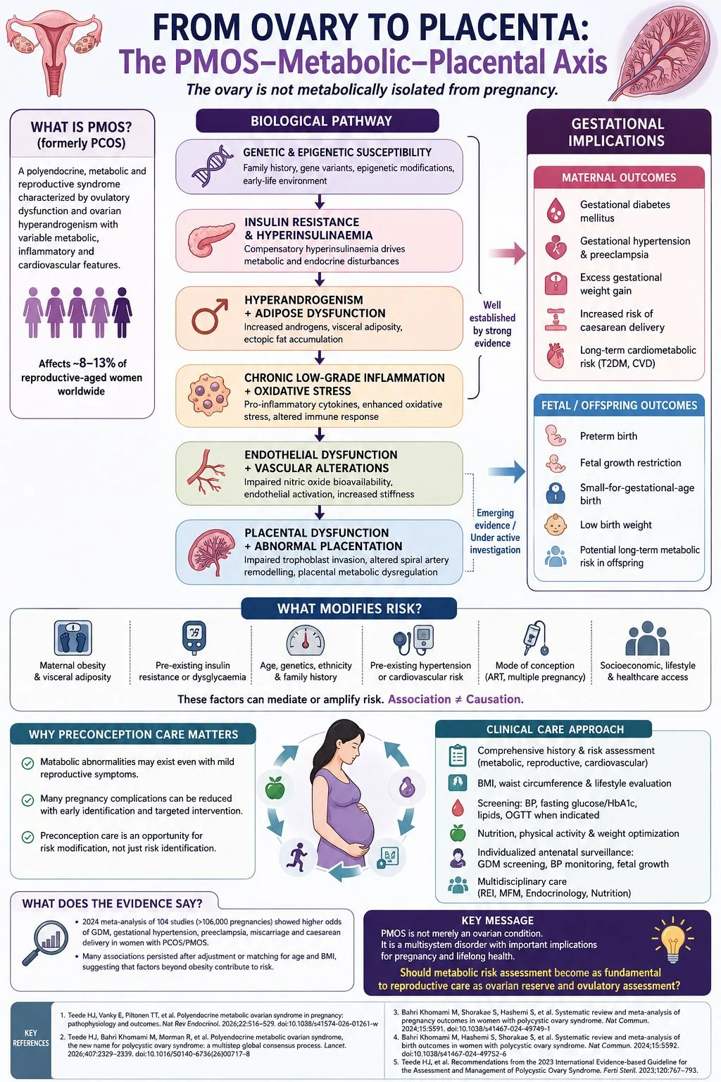 Khalil Faaed: From Ovary to Placenta – How PMOS May Shape Pregnancy Outcomes