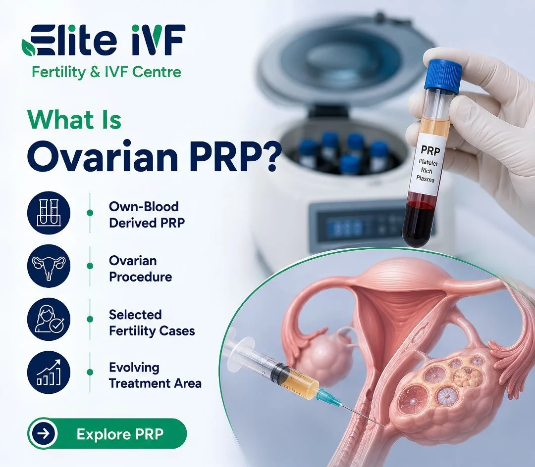 What Is Ovarian PRP? – Elite IVF Fertility and IVF Clinic