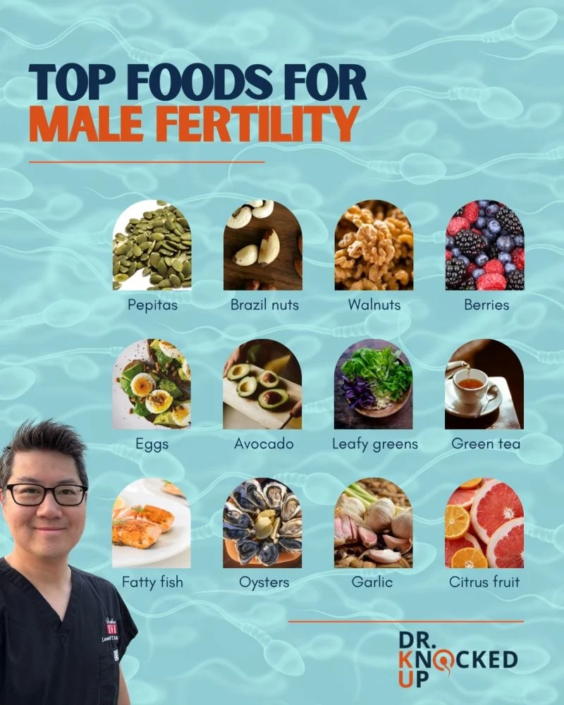 Lowell Ku: Can What You Eat Affect Fertility?
