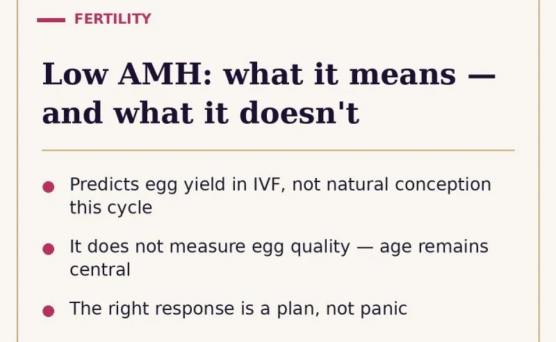 Priyadatt Patel: Low AMH – What It Means and What It Doesn’t