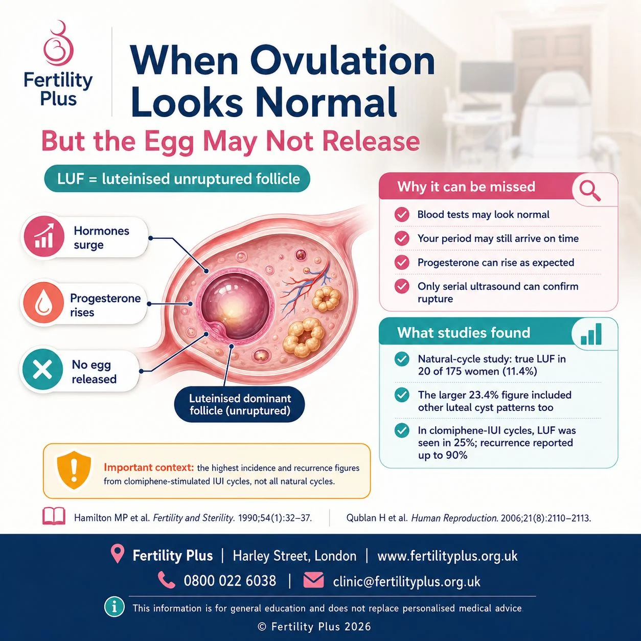 When Progesterone Rises, but No Egg Is Released… – Fertility Plus