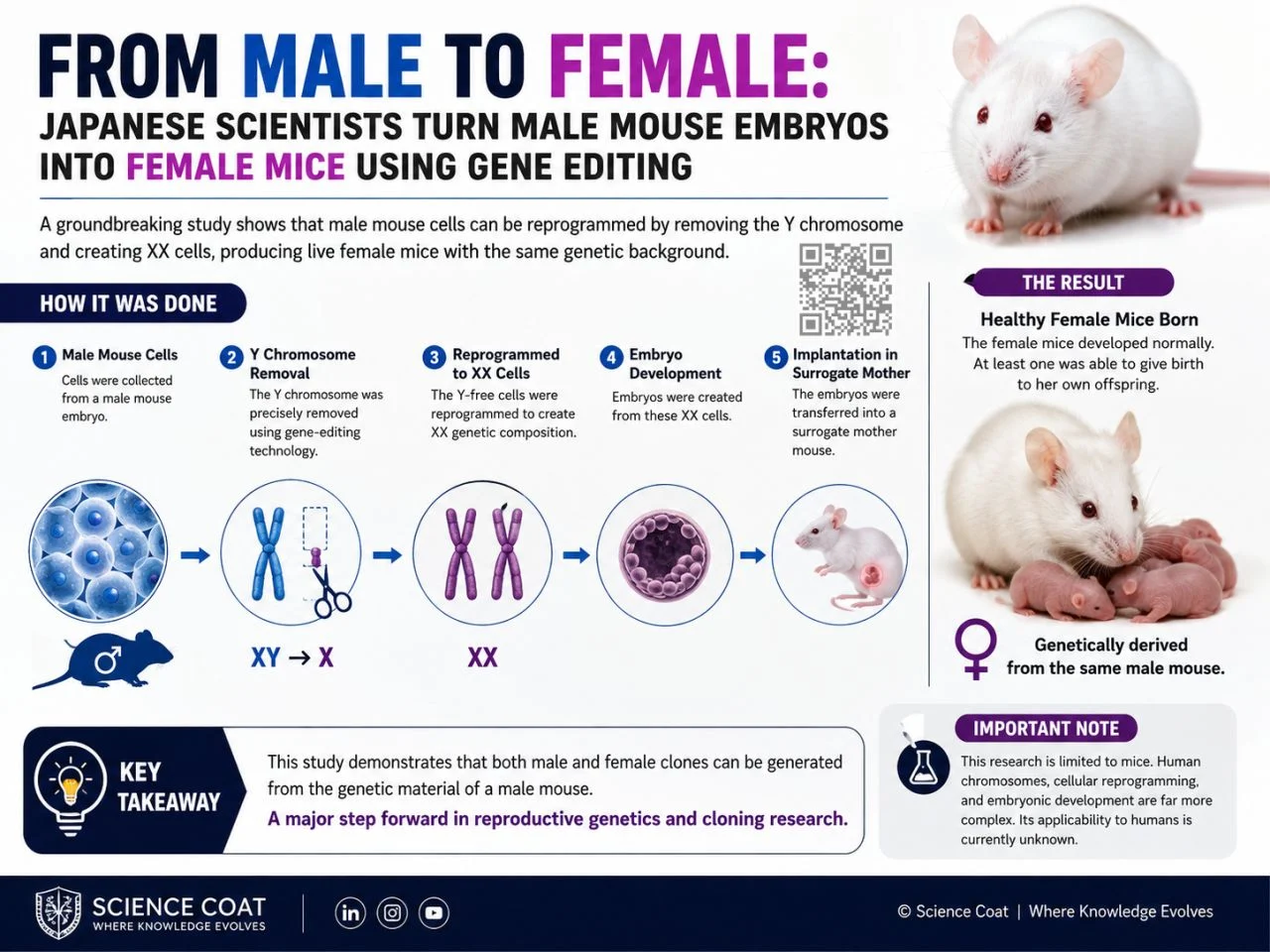 Sourav Dolai: Japanese Scientists Turn Male Mouse Embryos Into Female Mice