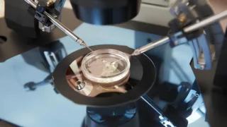 Akinrolayo Faith։ Inside The IVF Laboratory - Day 3