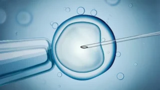 Akinrolayo Faith: Inside the IVF Laboratory - Day 4