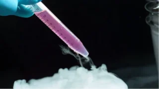 Ashwini Mahapure: Egg Freezing Embryo Banking Market