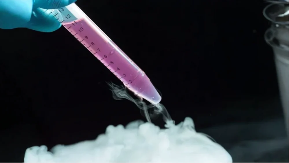 Ashwini Mahapure: Egg Freezing Embryo Banking Market