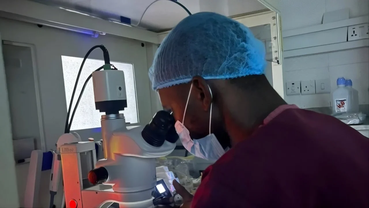 Dairo David: The Embryo Is Important, but What About the Endometrium?