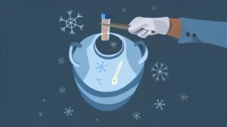 What Egg Freezing Really Buys You - Fertility Plus