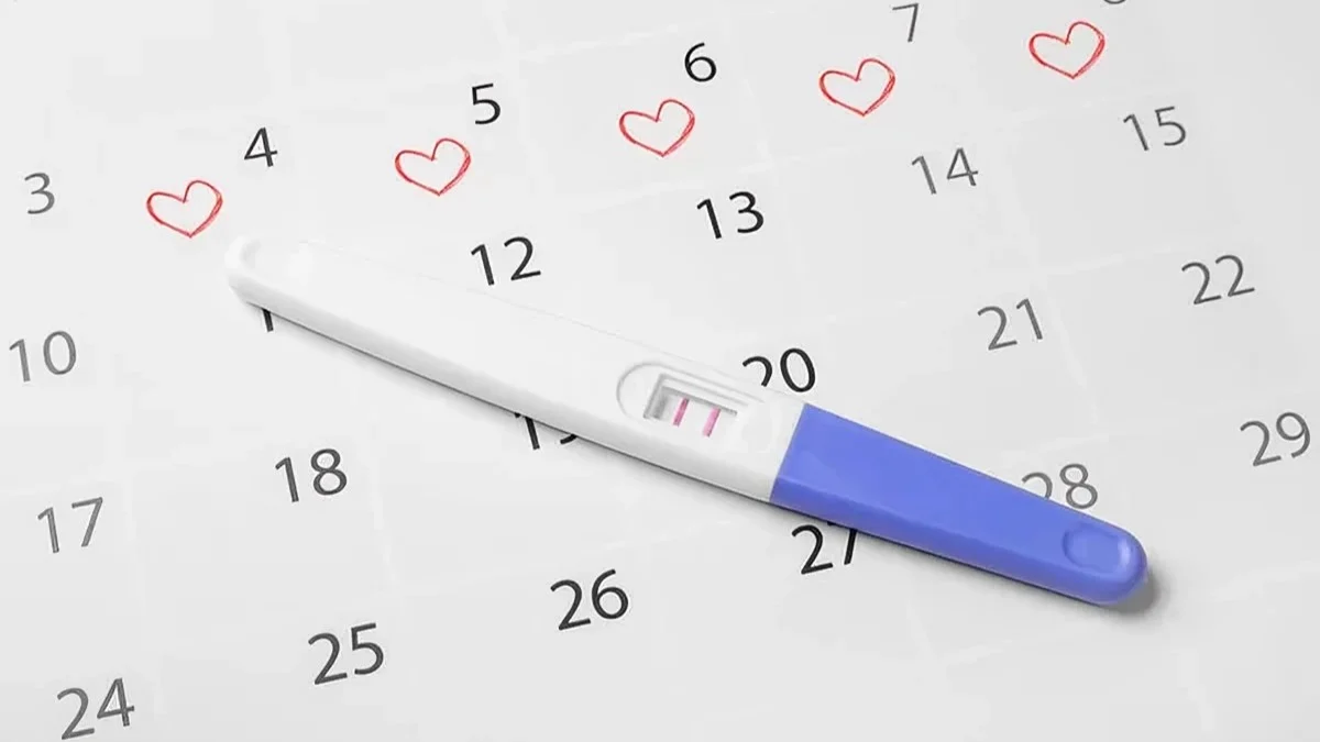 How Much Do People Really Know About Fertility? – Fertility Plus