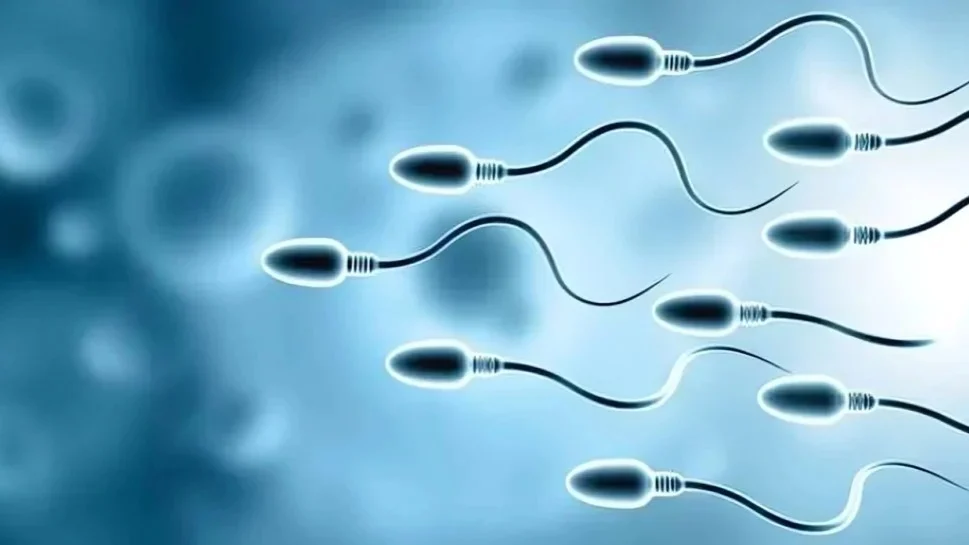Karthick Raj: What is Globozoospermia?