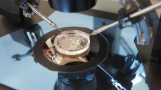 Dalia Majedi: Key Factors in Choosing an IVF Clinic Abroad