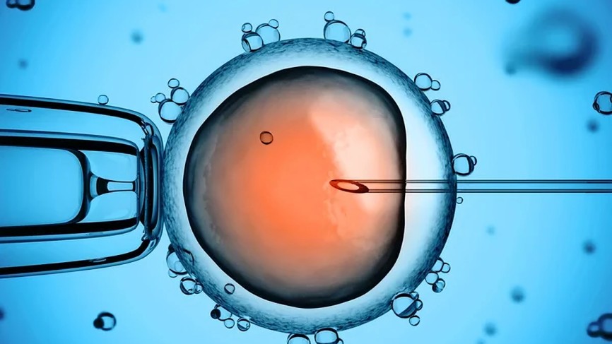 Nagma: Building an IVF Portfolio Is Not Just About Adding More Tests…