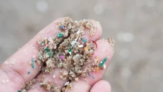 Komal Rashid Khan։ Microplastics and Female Reproductive Health