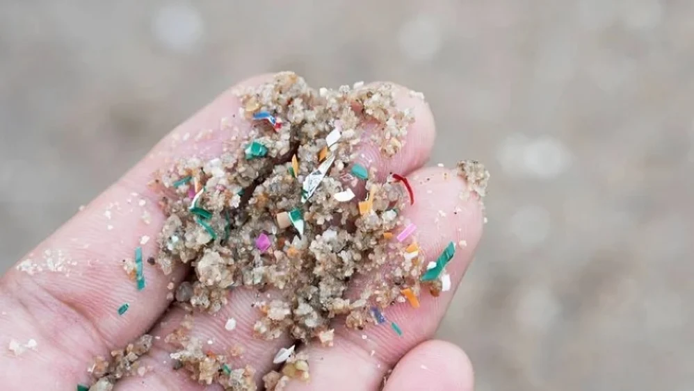 Komal Rashid Khan։ Microplastics and Female Reproductive Health