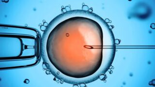 Manisha Kumari: What is IVF? Understanding the Basics