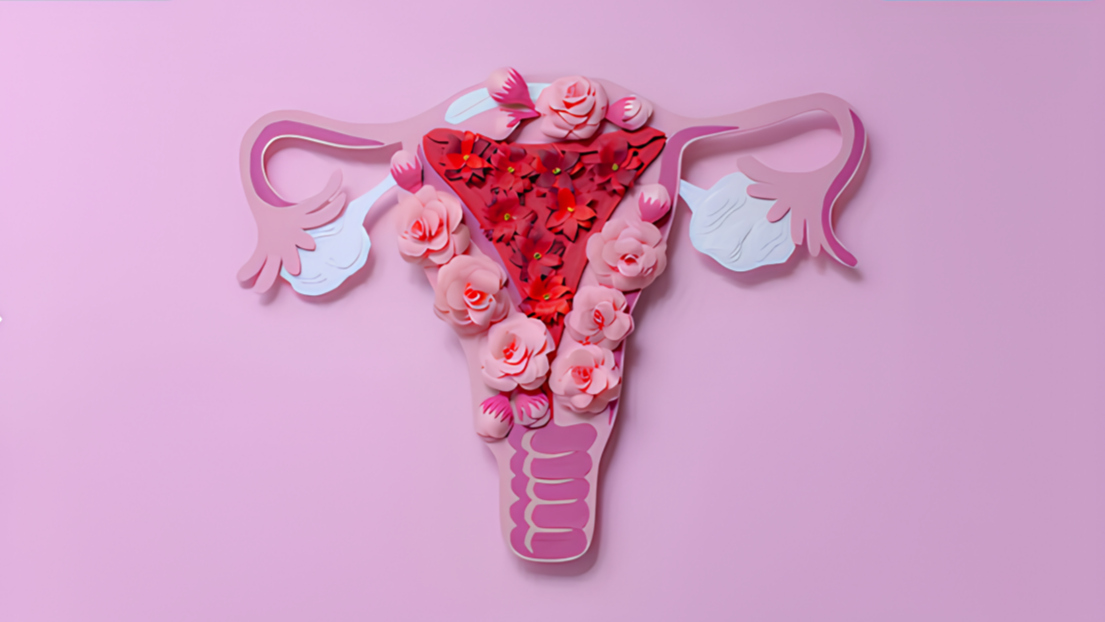 PCOS Is Breaking the Scaffolding Around Your Eggs – Fertility Plus