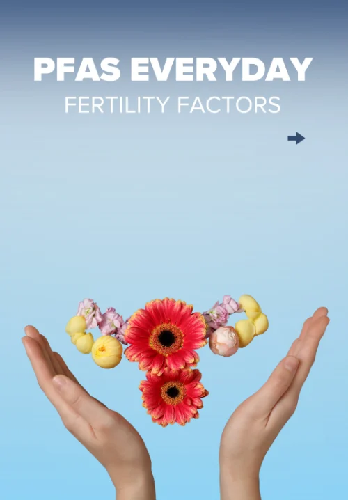 Diana Kayal: Some of the Things That Affect Fertility are Sitting in Your Kitchen Cupboard