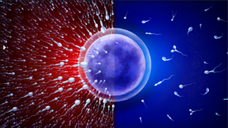 Zafar Ali: Smoking, Sperm Health and the Biology We Can’t Ignore