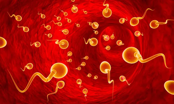 S.0 Mikaye: Classification of Sperm Malformations