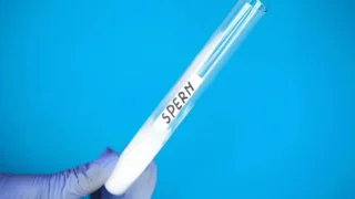 What Happens to a Sperm Sample When It Arrives at the IVF Lab? - Viera Fertility