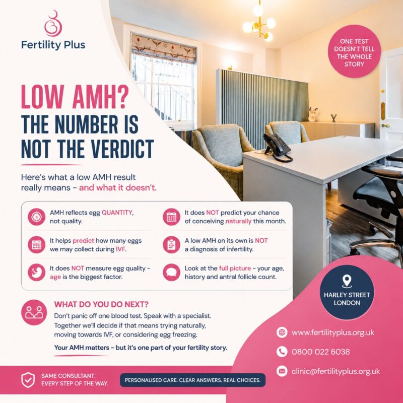 Low AMH? The Number Is Not the Verdict – Fertility Plus