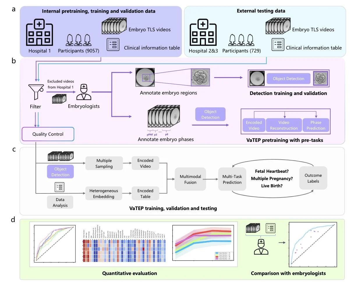 Eric Lameignere: Can AI Transform IVF Outcome Prediction Beyond Embryo Selection?