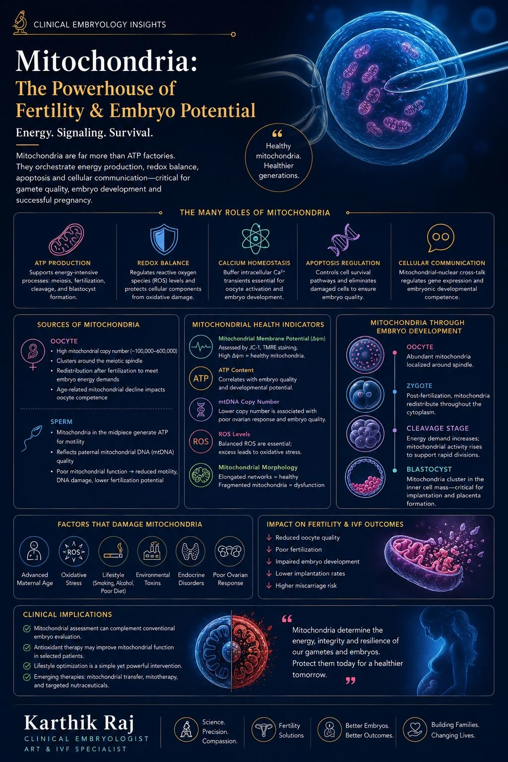 Karthik Raj։ Mitochondria – The Powerhouse of Fertility and Embryo Potential