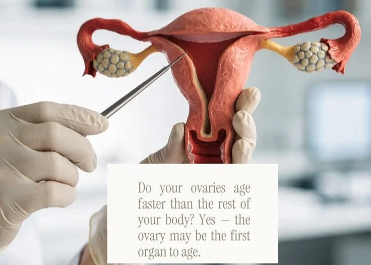 Devyanshi Dixit: Why Does the Ovary Age So Differently?