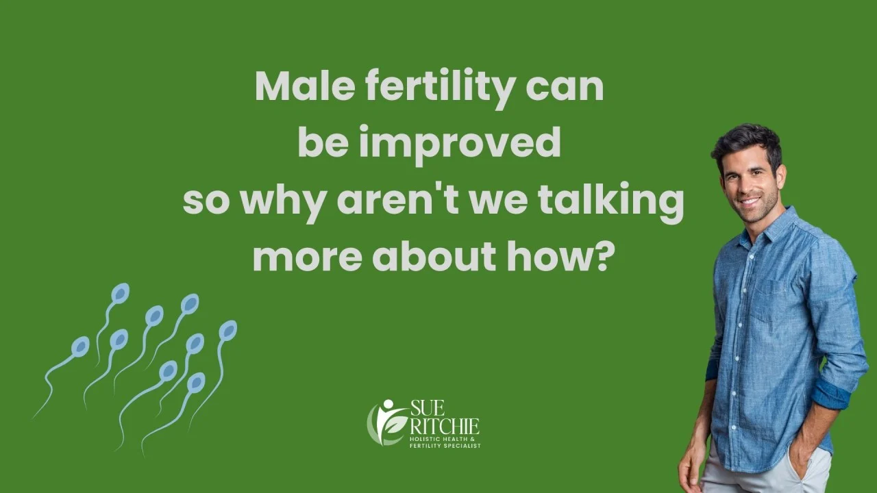 Male Fertility