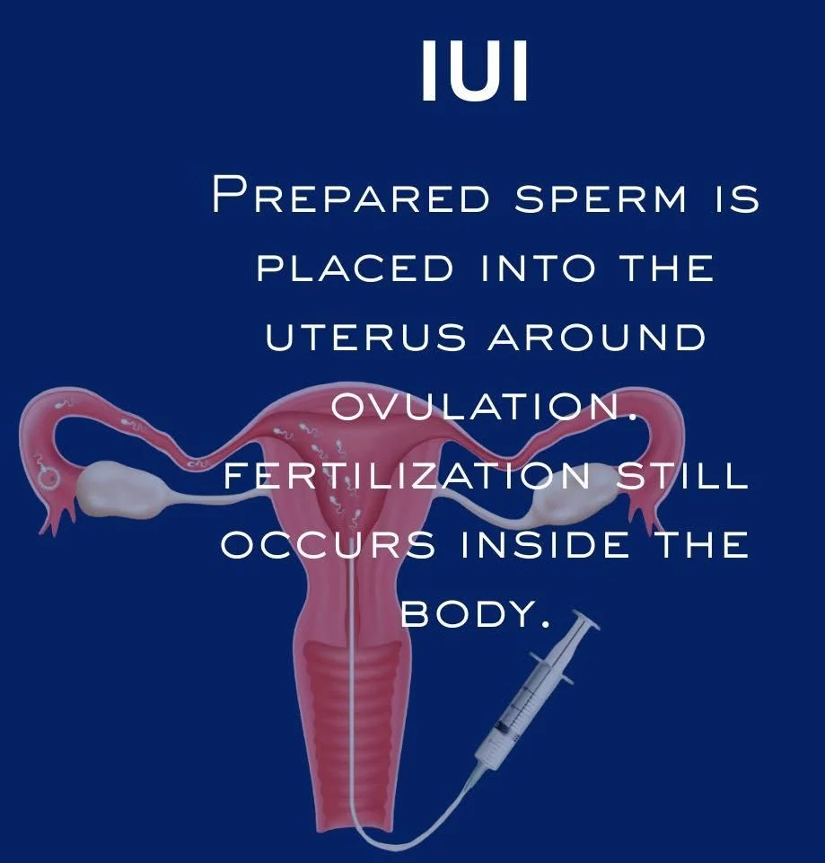 What’s the Difference Between IUI and IVF? – Caperton Fertility Institute