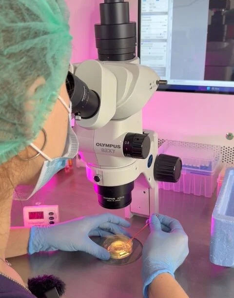 Svitlana Yashchenok: Who Is Really Choosing Your Embryo?