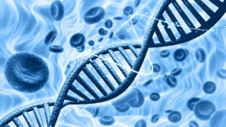 What Can Genetics Tell Us About Pregnancy Loss? - ESHRE SIG Reproductive Genetics