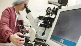 Dilpreet Banwait: Within Something as Small as a Blastocyst Is an Incredible Amount of Biological Information